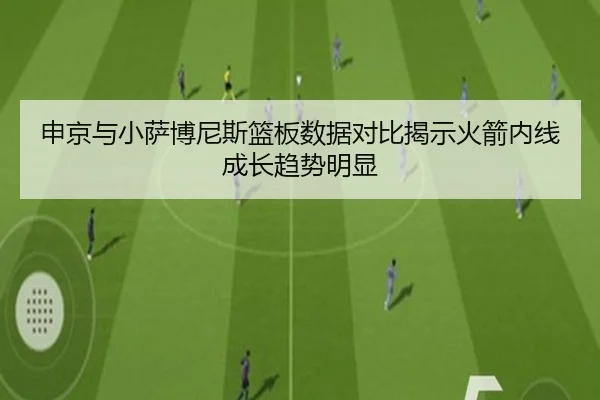 申京与小萨博尼斯篮板数据对比揭示火箭内线成长趋势明显